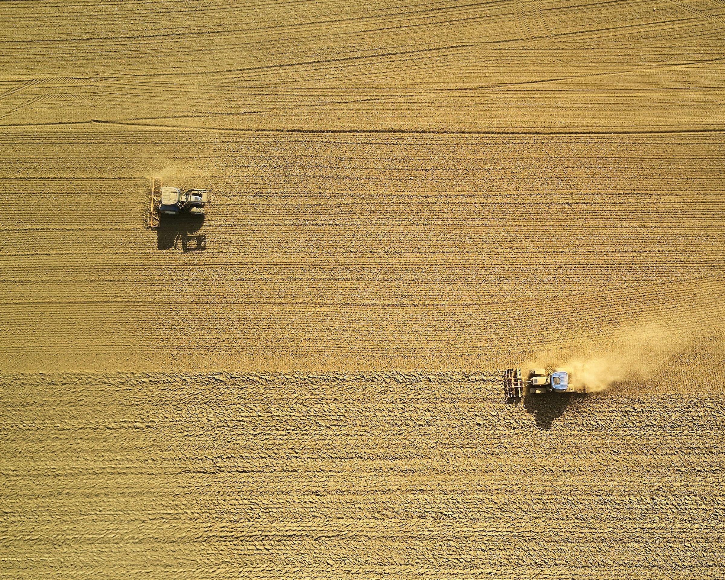 Aerial view of two harvesters working a golden field.