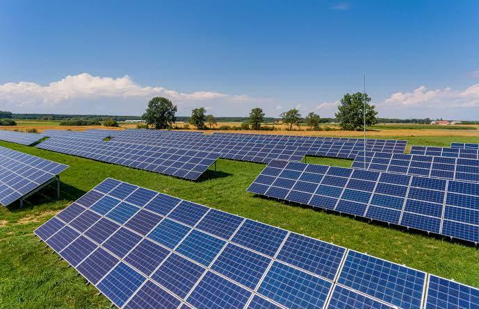 Rows of solar panels across a green field under a clear blue sky.